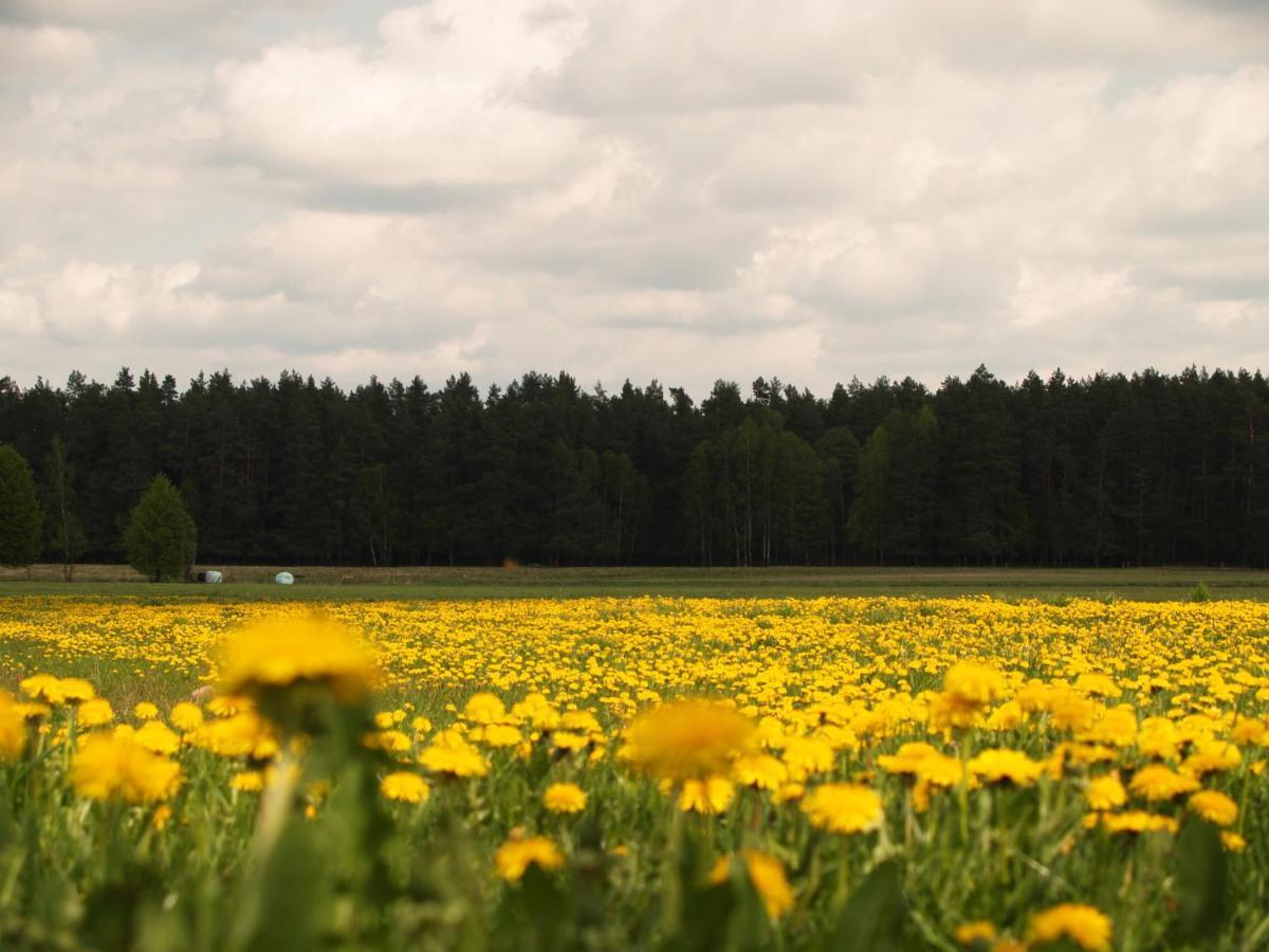 Biebrza24 - Agroturystyka Sztabin Exterior foto